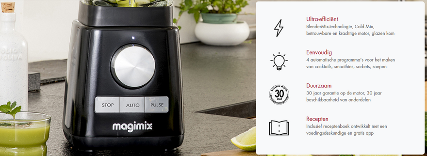 Magimix Power blender header